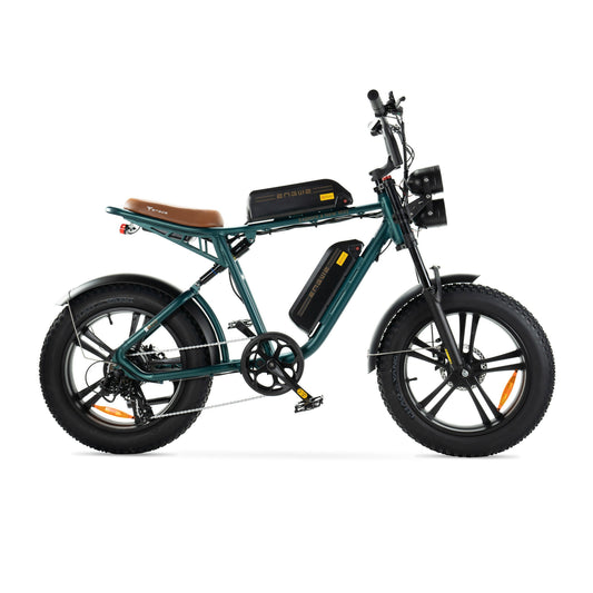 ENGWE M20 - Fatbike - Dubbele Accu - Groen