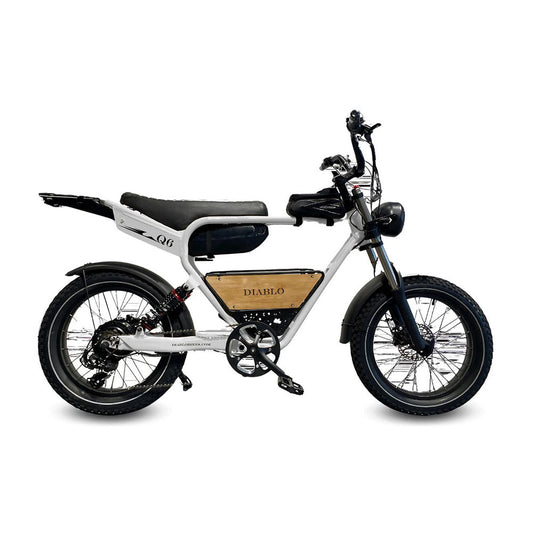 Diablo Q6 - Fatbike - Grijs