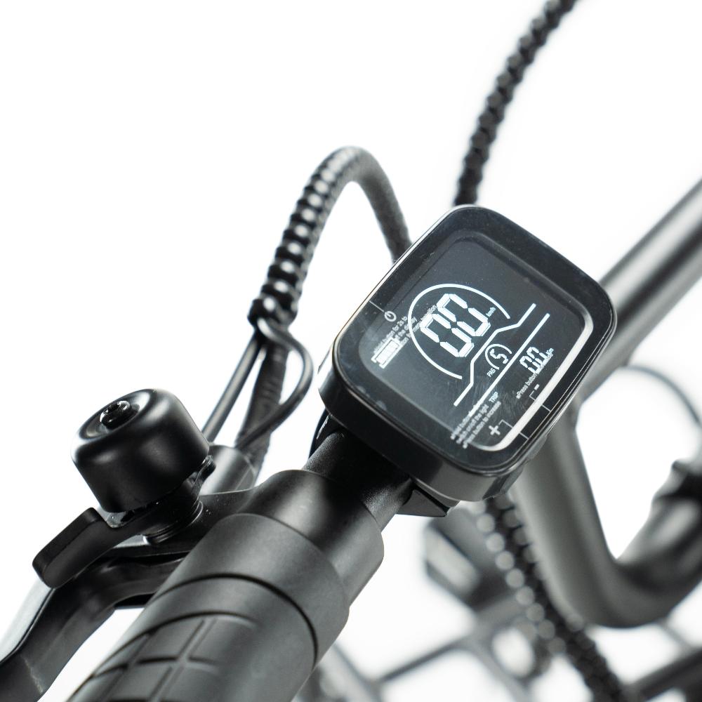 ENGWE L20 Boost - Zwart