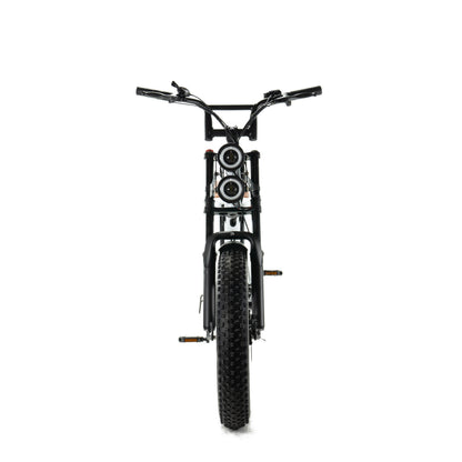 ENGWE M20 - Fatbike - Dubbele Accu - Wit