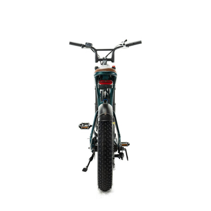 ENGWE M20 - Fatbike - Dubbele Accu - Groen