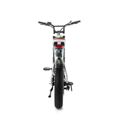 ENGWE M20 - Fatbike - Dubbele Accu - Wit