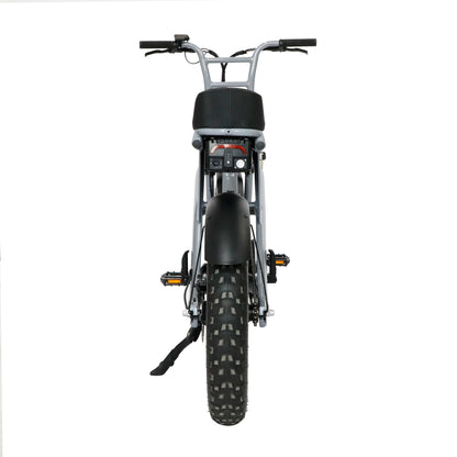 Grandeux Xplore - Fatbike - Grijs